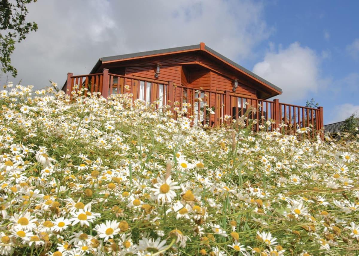 Hornbeam Country Park Hotel Honiton Bagian luar foto